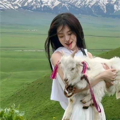 推理、讨论和叙述